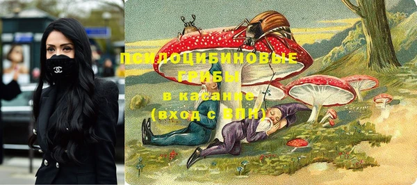 герыч Алексин