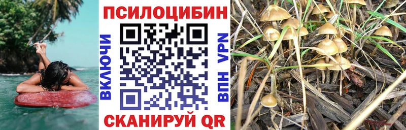 Псилоцибиновые грибы мицелий  купить наркотики сайты  Томари 